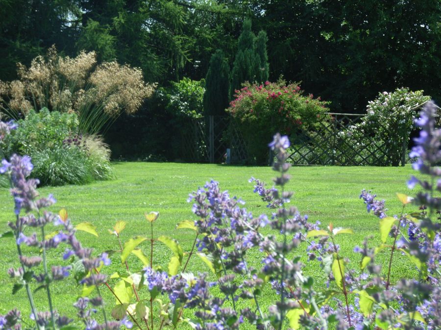 A beautiful garden designed and project managed by Cambridgeshire's award winning garden designer: Anna McArthur